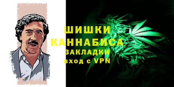 молекула духа Майский