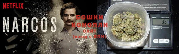 молекула духа Майский