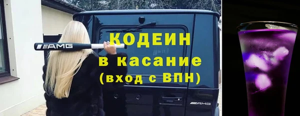молекула духа Майский