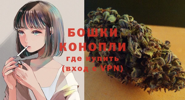 молекула духа Майский