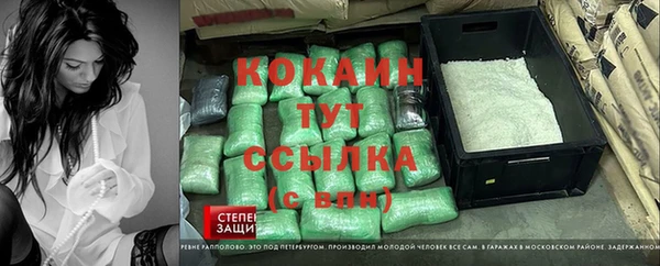 молекула духа Майский