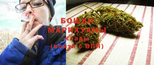 молекула духа Майский